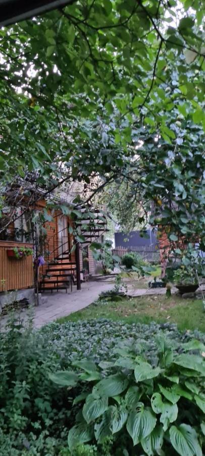 Guesthouse U Dida Viktora Яремча Экстерьер фото