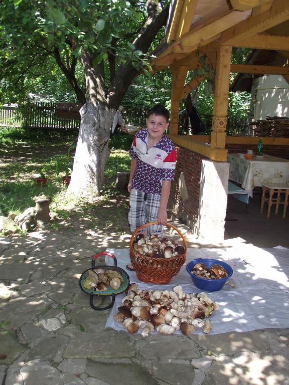 Guesthouse U Dida Viktora Яремча Экстерьер фото